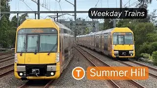 Sydney Transport Vlog 452: Summer Hill Weekday Trains