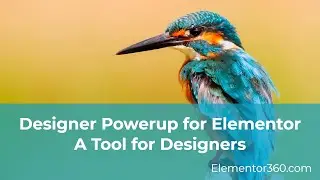 Designer Powerup for Elementor – A Tool for Designers