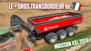 🤠 Le + GROS TRANSBORDEUR (71m3) de 🇫🇷 conduit par CÉCILE et son 8R + X9 +S785 : MOISSON 2024 XXL 😱