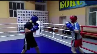 Лёгкая работа в парах #бокс #спорт #boxing