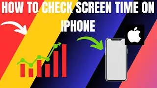 How to View Screen Time in iPhone (2024)