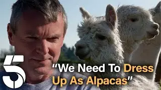 A New House Could Mean Pet Alpacas For The Radfords! | 22 Kids & Counting | Channel 5