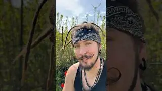 Лучший антистресс