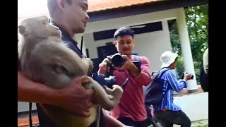 Cameraman trying comfort Liby to feeding milk to poor little Rainbow