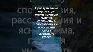 Звуки Воды и Леса: Природная Амбиенция и Пение Птиц для Расслабления, Звуки Природы, Успокаивающий
