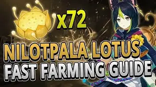 Nilotpala Lotus 72 Locations FAST FARMING GUIDE +TIMESTAMPS | Genshin Impact 3.0