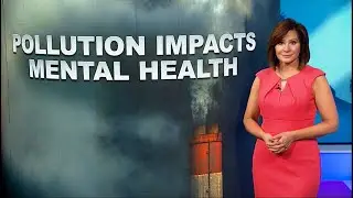 Growing evidence air pollution makes mental health worse