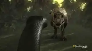 ЗМЕЯ МОНСТР Titanoboa VS против) Т РЕКСА