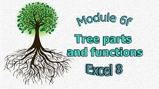 Excel 8 grade Module 6f Tree parts and functions, Части дерева и их функции на английском