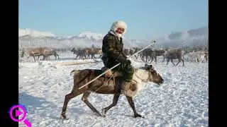 Кыпчаки в этногенезе  Саха Якутов.