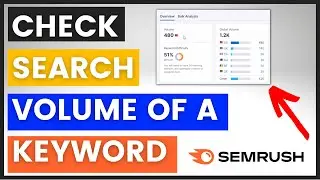 How To Check The Search Volume Of A Keyword? (Using Semrush)