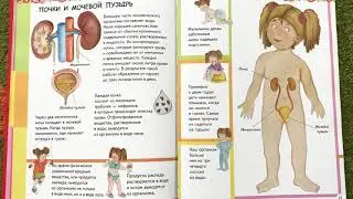 АНАТОМИЯ ДЛЯ ДЕТЕЙ. Почки и мочевой пузырь. Читаем вслух детскую энциклопедию
