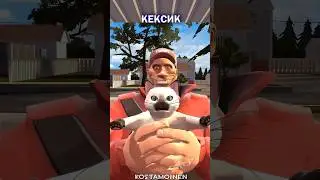 Солдат показывает котика 