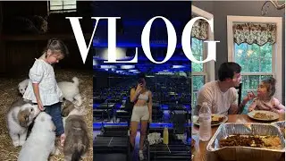 CHILL WEEKEND VLOG + GETTING A PUPPY? | Bianca Henderson