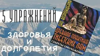 5 упражнений для здоровья и долголетия. 