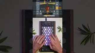 Exquis - @AudioModeling #swam #cello #plugin #midi #controller #vst #keyboard #strings #instrument