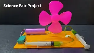 Science Fair Project