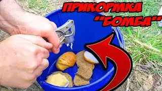 Супер Простая прикормка Которая Соберет всю Рыбу с Водоема