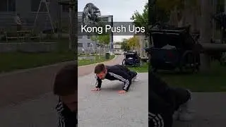 If Animals Were Exercises