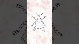 making the weevil from music for bugs #shorts