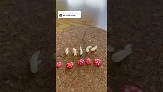 This was my first viral video on TikTok #viral #viralvideo #tiktok #shorts