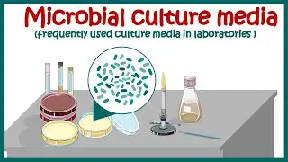 Bacterial culture media |classification and types of bacterial media | enriched & differential media