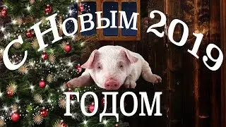 С Новым 2019 Годом! Поздравление!