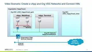 VMware vCloud Director: Managing Organization VDC Networks