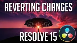 Tips for Undoing and Reverting Changes in Keyframing / Options - DaVinci Resolve 15 Tutorial