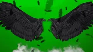 black wings green screen