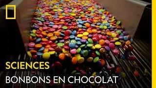 Ces petits bonbons en chocolats colorés nous font fondre de bonheur et de nostalgie | FOOD FACTORY