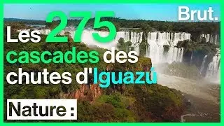 Les chutes dIguazú, merveille de la nature