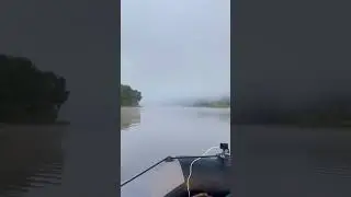 Красивый восход с туманом.