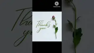 Thanks for subscribe my channel,#pleasesubscribe,#subscribetomychannel,#thankforsupport