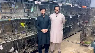 Multan Sunday Birds Rasheedabad latest Update 28 july 2024