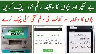 How To Check Bisp Banzeer Kafalat Payment || Check Benazir Taleem wazifa Payment Online