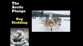 Dog Sledding| Winter Sports History | The Arctic Plunge