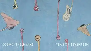 Cosmo Sheldrake - Tea For Seventeen