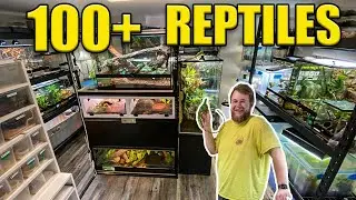 REPTILE ROOM TOUR 2022!! (100+ Reptiles)