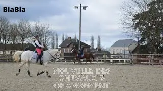 {BlaBla} Je vous donnes enfin des nouvelles et vous parles des changements ! 🥰