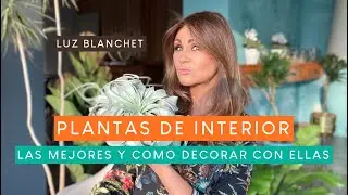 25 MEJORES PLANTAS DE INTERIOR PARA DECORAR TU CASA / LUZ BLANCHET