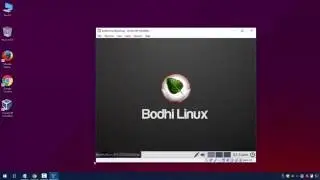 Bodhi Linux live in virtualbox