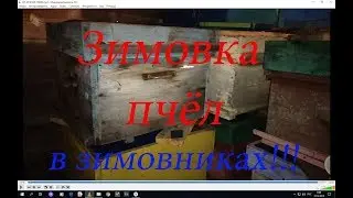 ОСМОТР ЗИМОВНИКОВ, КАК ЗИМУЮТ НАШИ ПЧЁЛЫ. ВЕНТИЛЯЦИЯ ЗИМОВНИКОВ И ОБОГРЕВ.🔥🔥🔥