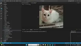 How to Display an Image on the Tkinter Canvas