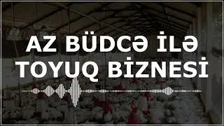 TOYUQ BİZNESİ NECƏ QURMAQ OLAR? - AZ BÜDCƏ İLƏ BİZNES FİKİRLƏRİ