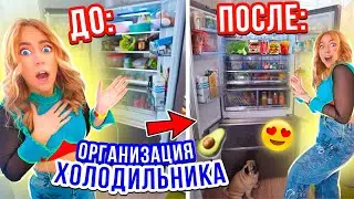 ЧТО Лежит у НАС в ХОЛОДИЛЬНИКЕ😱👉ОРГАНИЗАЦИЯ и УБОРКА !