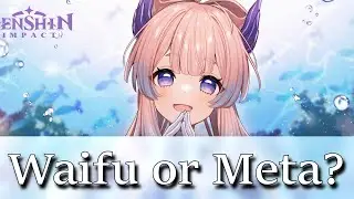 How to Decide Between Meta vs Waifu | Genshin Impact