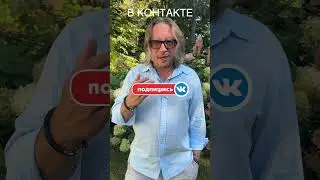 ПОДПИСЫВАЙТЕСЬ НА НАШИ КАНАЛЫ!