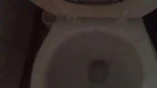 American Standard Toilet