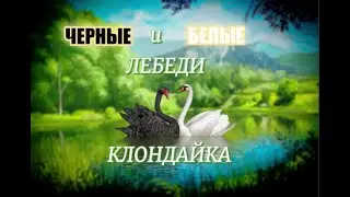 Лебеди в игре Клондайк